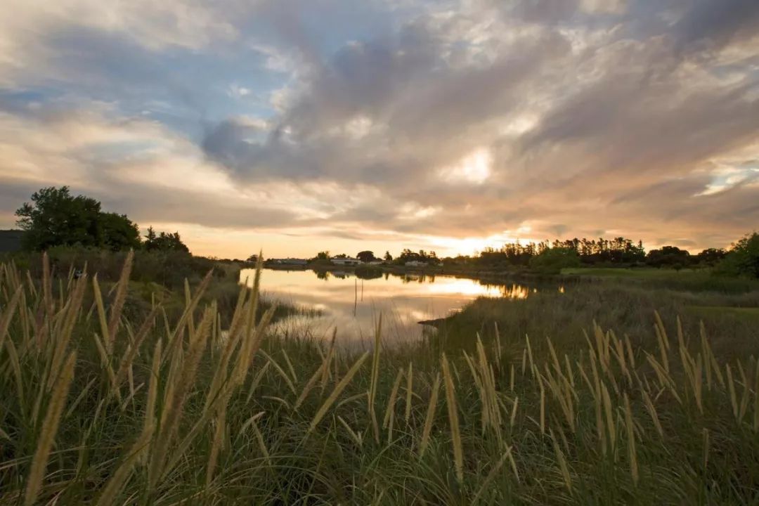 南非高尔夫球旅游,南非高尔夫