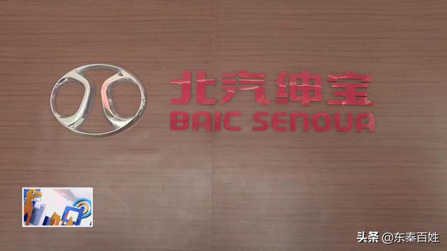 消费者称买二手车被骗视频,消费者污蔑商家卖假货会处罚吗