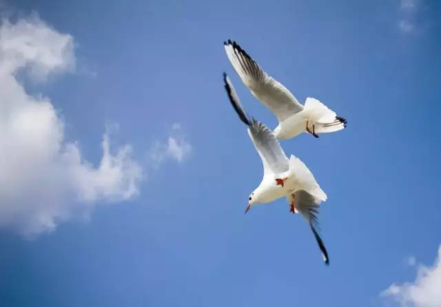 天津滨海高新区塘沽海洋科技园,塘沽海洋科技园