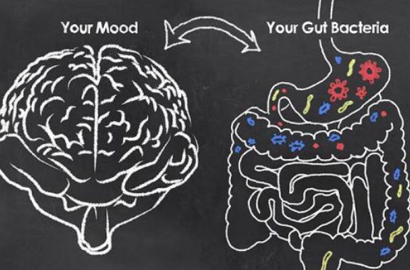 霹雳人妻高情商护夫，稳固地位全靠一身正“气”