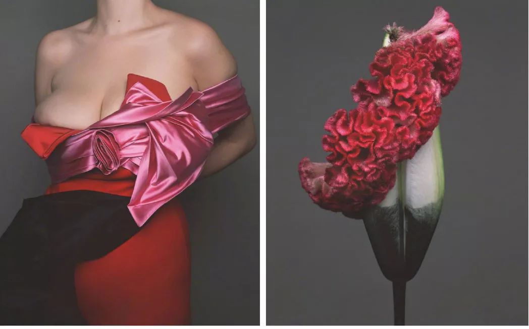 认真科普|九月刊到底为什么如此重要