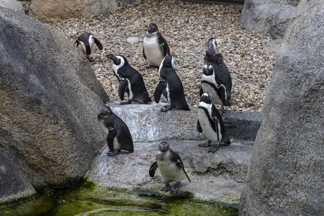 漫步圣地亚哥海边,圣地亚哥海岸风光