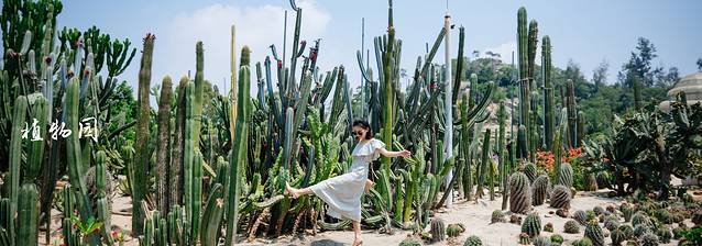 厦门小众打卡地推荐岛内,厦门小众旅游景点推荐视频