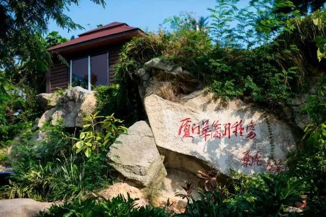 带你领略不一样的鼓浪屿,带你领略鼓浪屿岛上风光