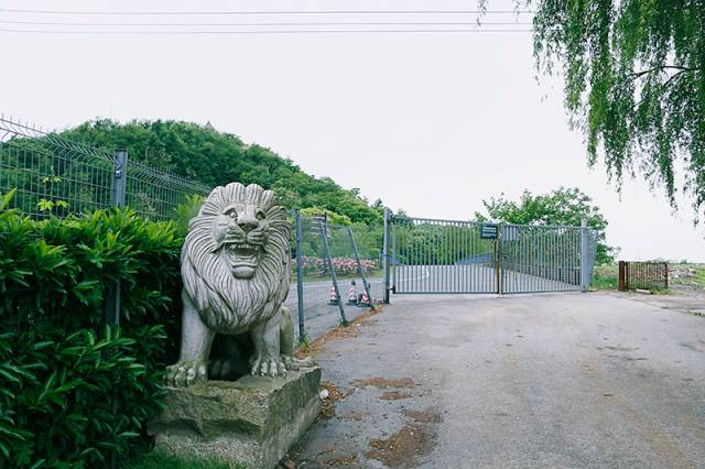 上海松江9号线路名,松江话讲松江历史