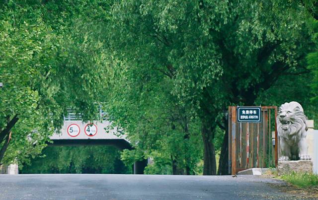 上海松江9号线路名,松江话讲松江历史