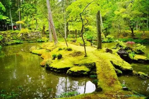 椋庨泤涔嬭嚧,鏃ユ湰浜兘鐢熸椿缇庡
