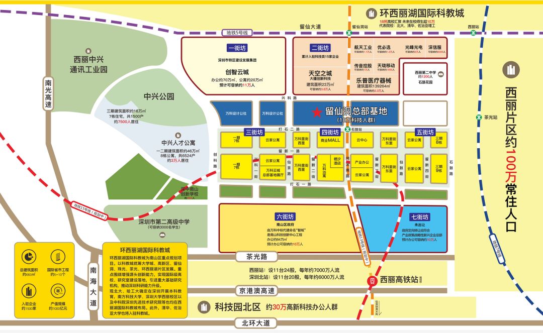 你为什么错过深圳湾,错过深圳