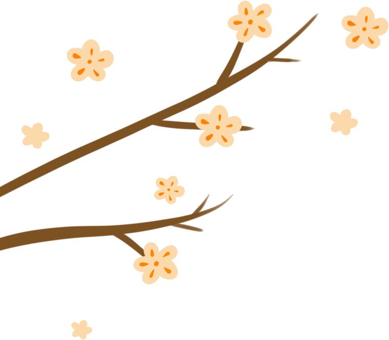 长沙公安开启夏夜治安,全警坚守全力以赴简报