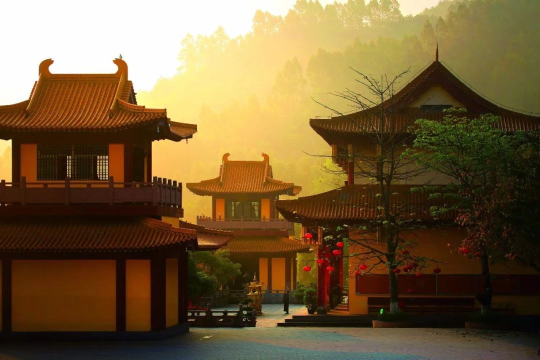 这是一场冰雪世界与海上花园的相遇，期待与你碰撞出不一样的火花~