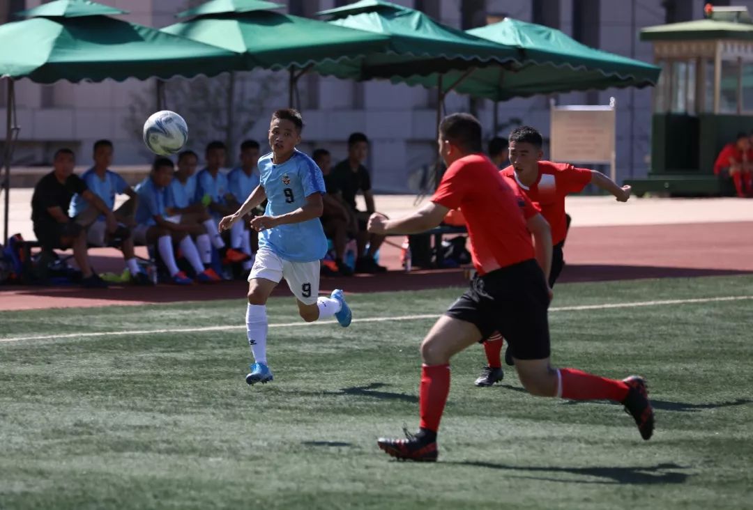 卫士动力杯,卫士动力怎么样