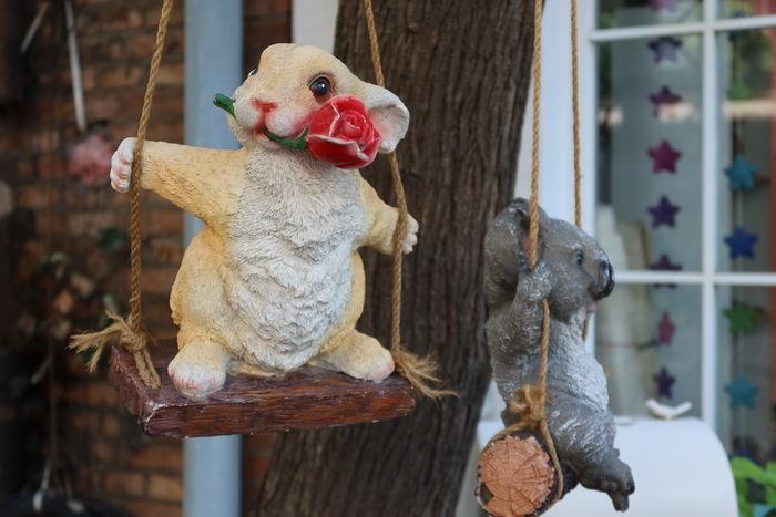 口袋vlog摄影机,口袋相机拍摄vlog视频