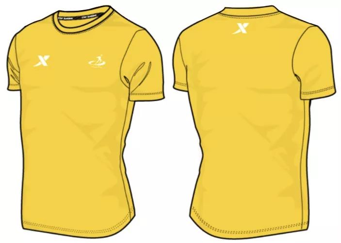 衡马最新赛事消息,衡马赛事