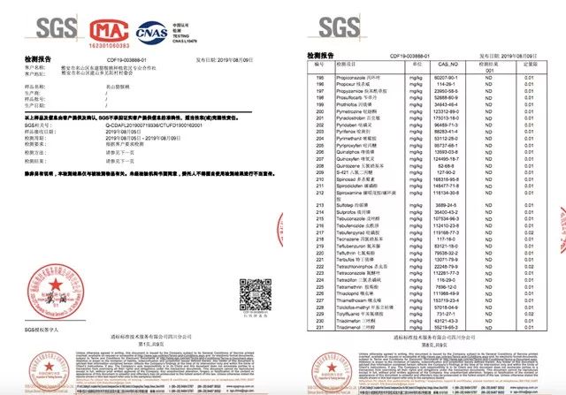 好甜的红心猕猴桃,野生猕猴桃好甜