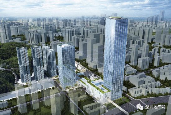 金威啤酒事件,金威黑金啤酒