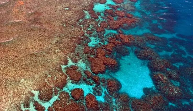 中国旅游者出入境携带物品,各国入境禁止携带物品清单