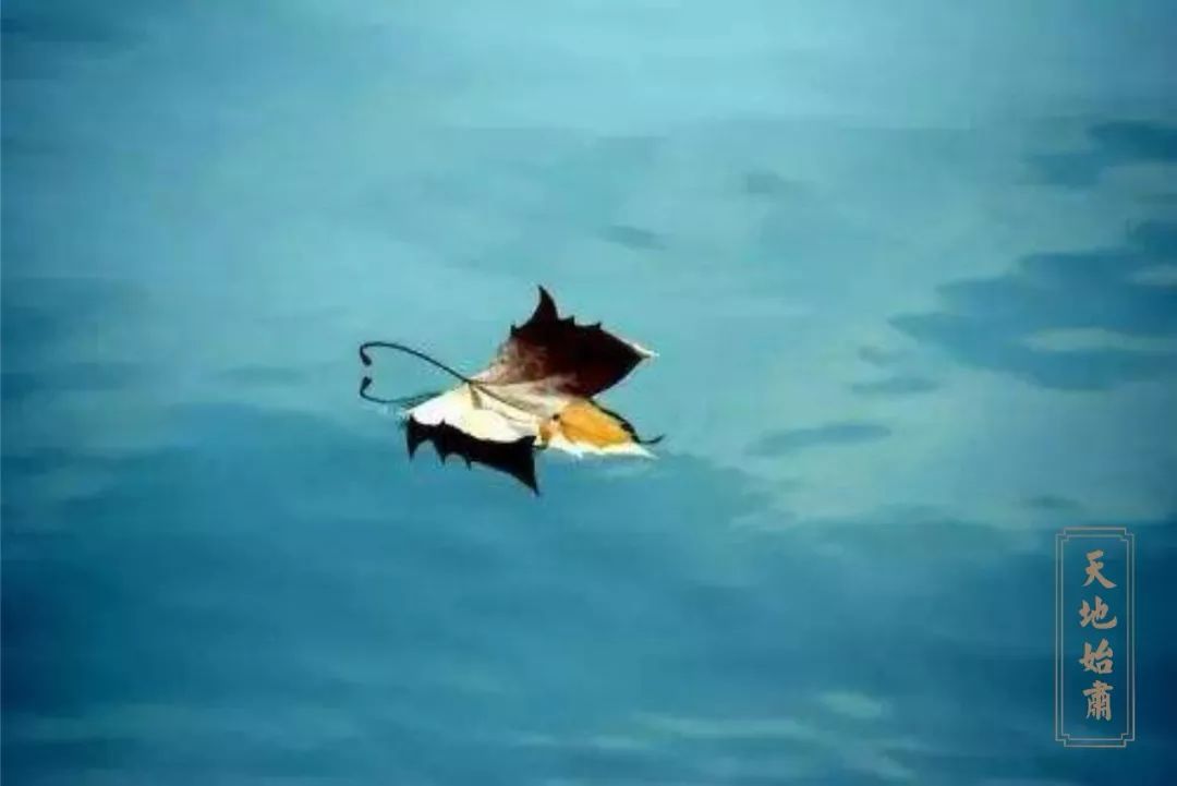 今日处暑：天高云淡日，一年最好时