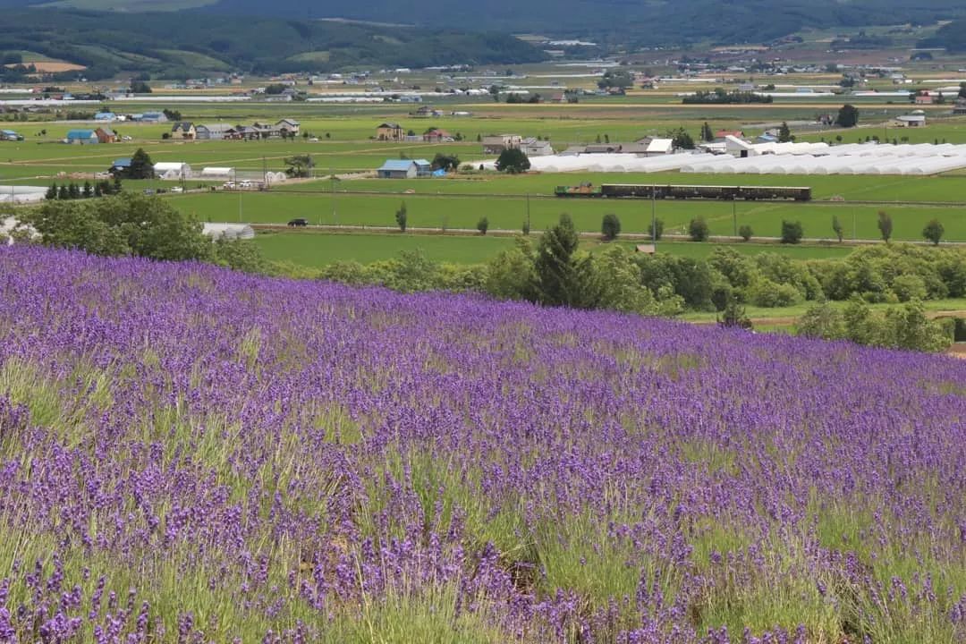 日本10条最好看电车线路,日本特急电车