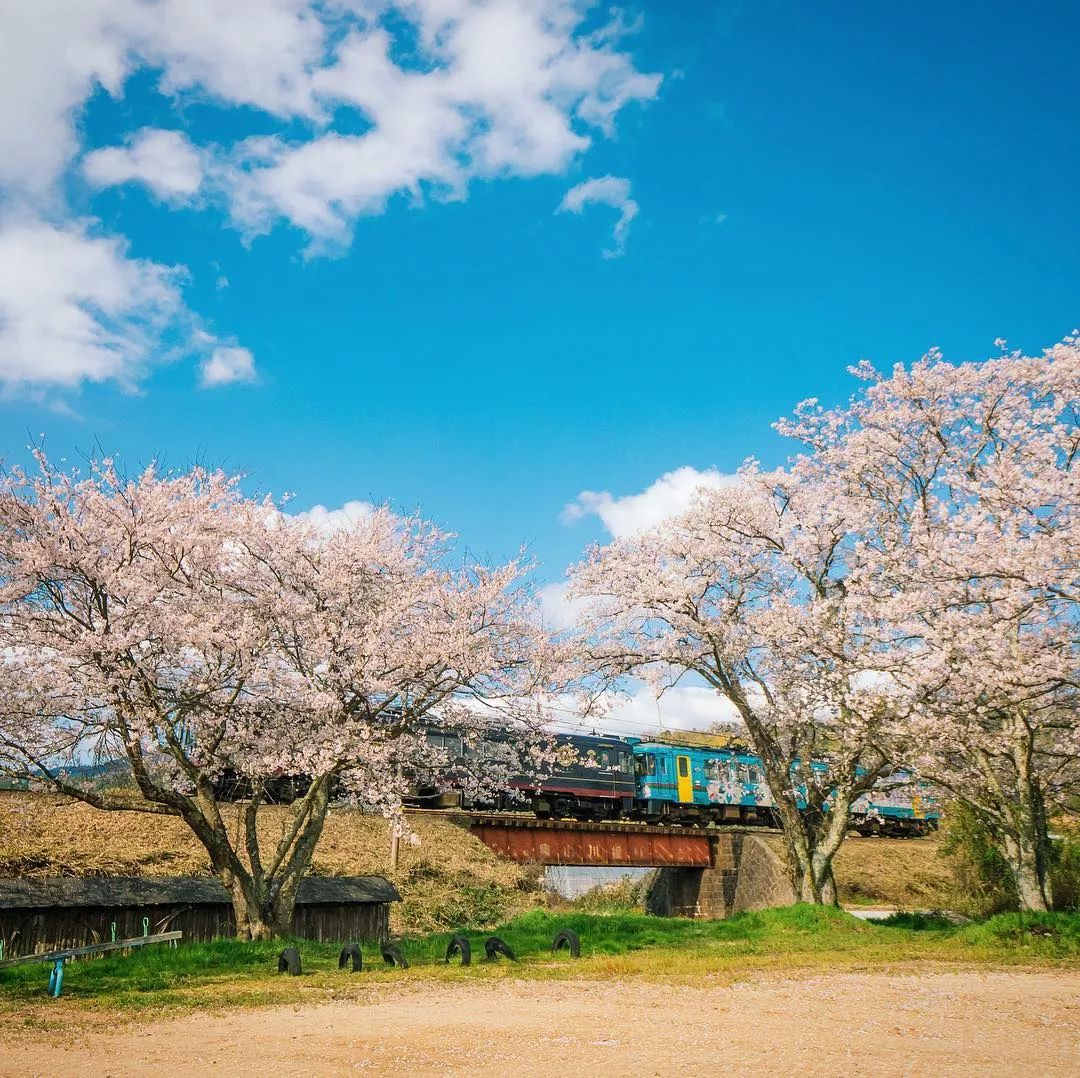 日本10条最好看电车线路,日本特急电车