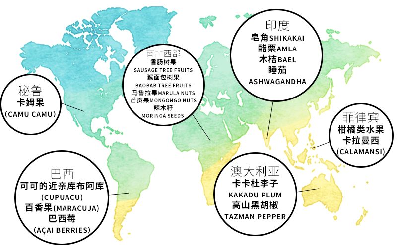 牛油果是如何风靡全球的,牛油果市场有前景吗