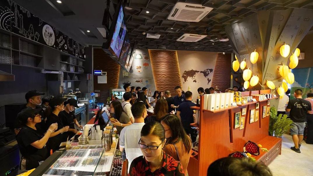 这批青年人才选择扎根开平创业！他们这样评价开平…