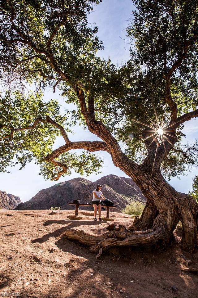 中亚五国旅行,中亚五国穿越东非