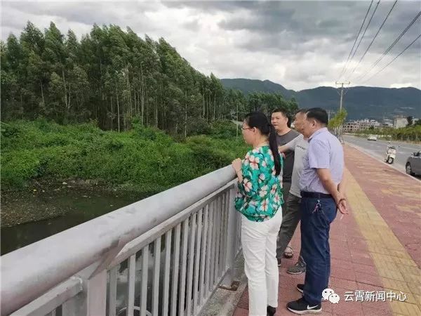 白鹿出战,白鹿来袭农田