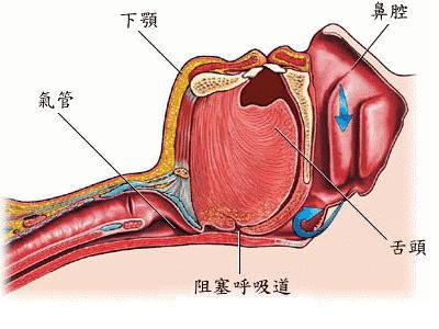 睡眠乳胶枕推荐,简单睡眠乳胶枕