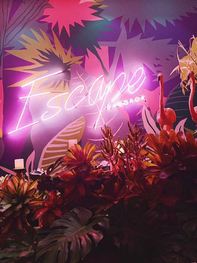 当地人带你游肇庆,泰国本地人带你玩