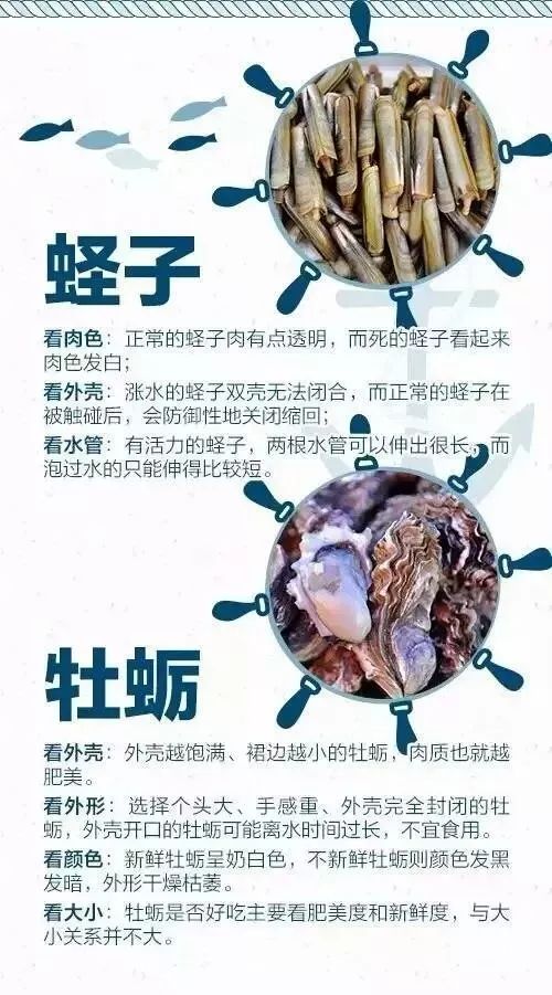 开海买海鲜攻略,开海了一般市场海鲜什么时候便宜