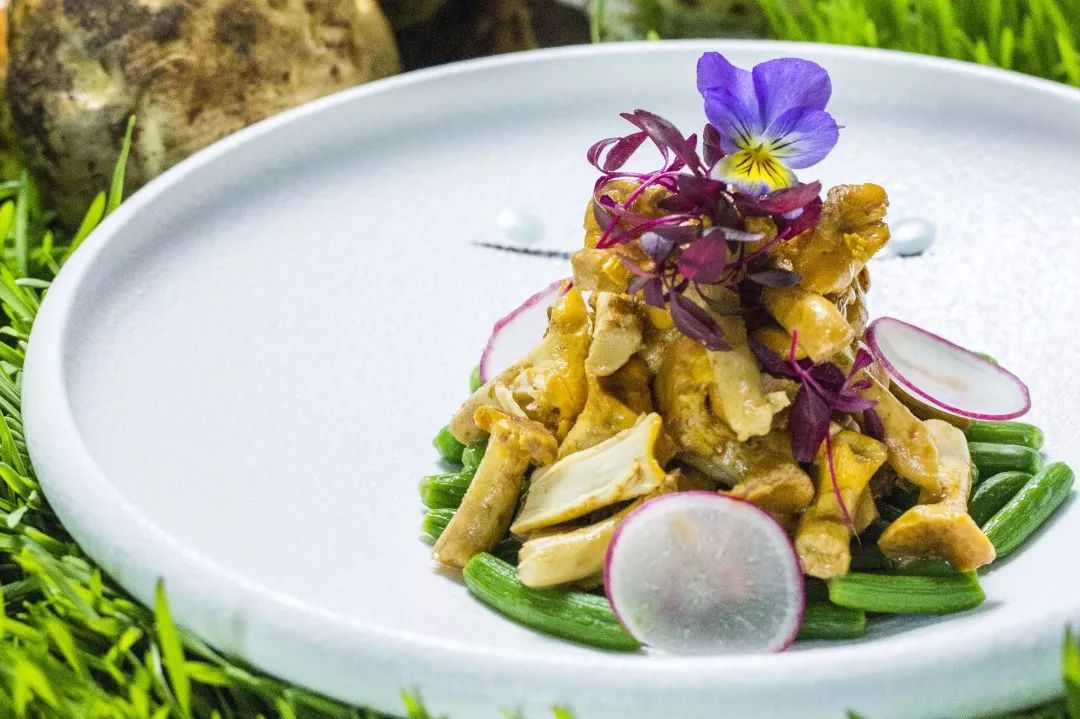 美食推荐新菜上新,四季新京菜推荐菜