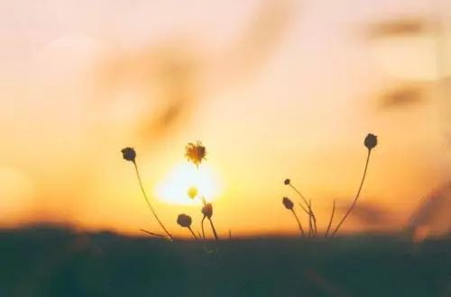 青春期女生面临第一次初潮,女孩如何正确面对青春期