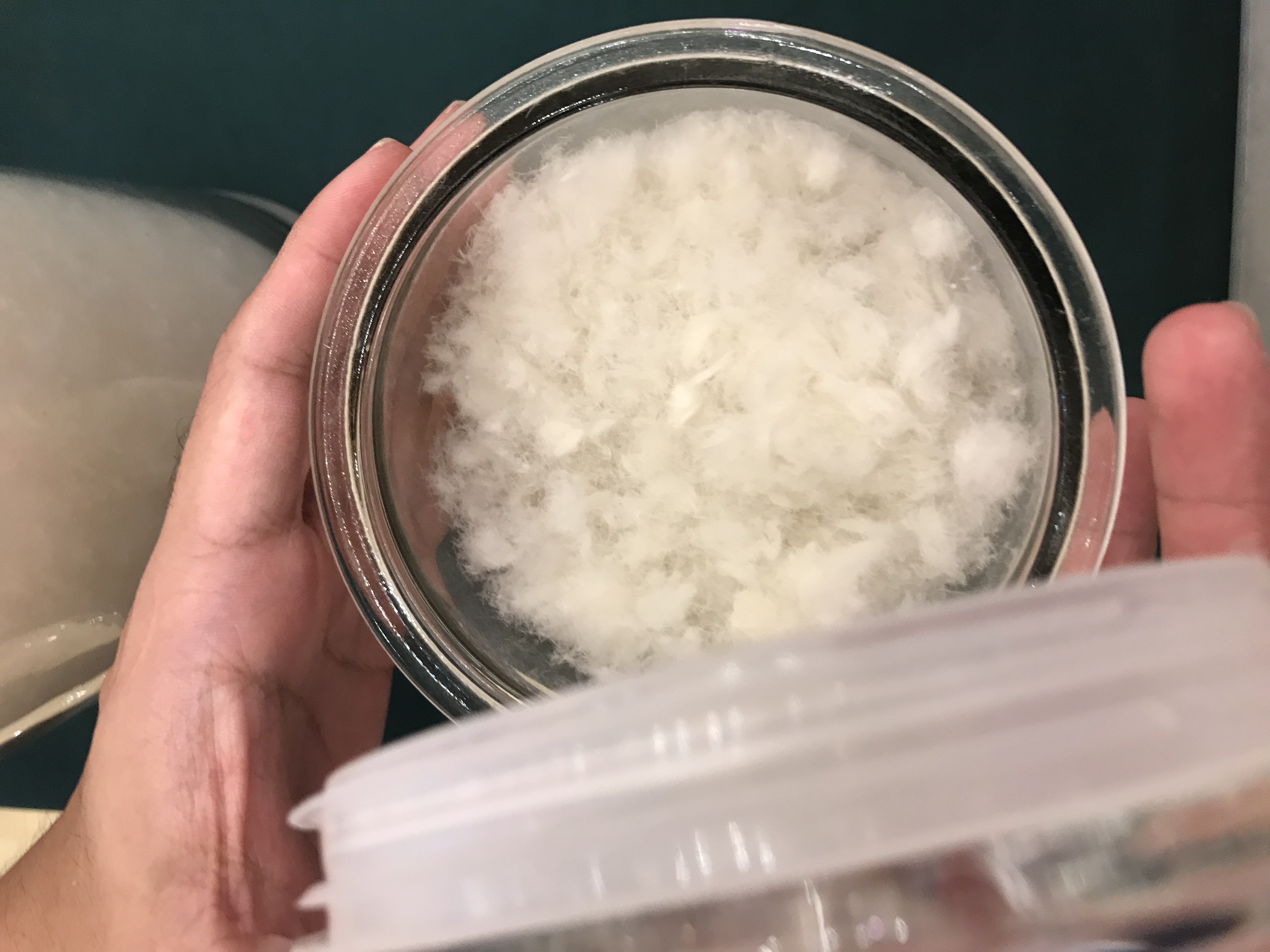 羽绒过敏,劣质羽绒服会过敏吗