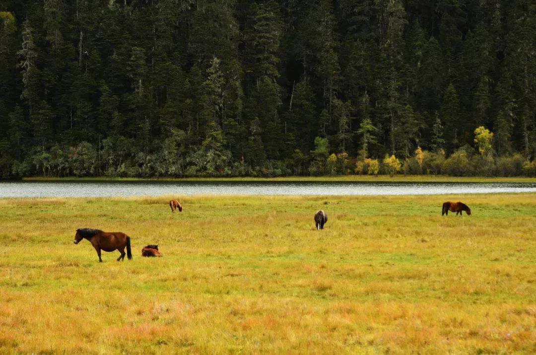 背包走遍云南,云南背包