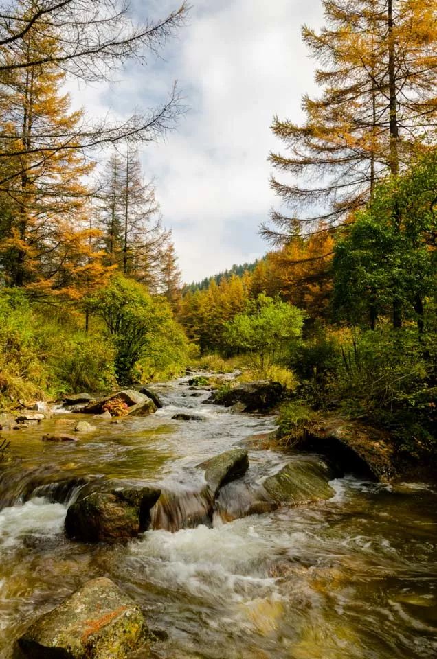 杜甫逃窜,杜甫入成都