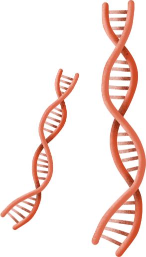 娘家人来了视频完整版,娘家人来了完整版视频