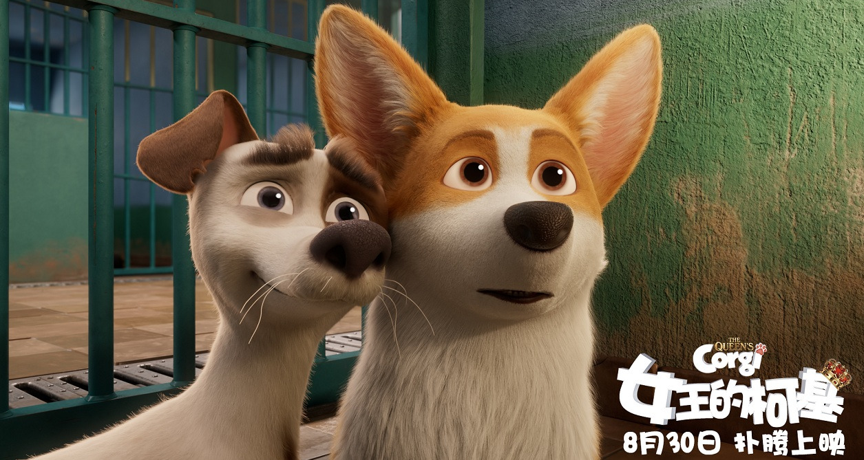 女王的柯基现在怎么样了,女王的柯基在线免费看全集完整版