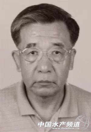 怀念恩师诗词,怀念恩师的诗词书法