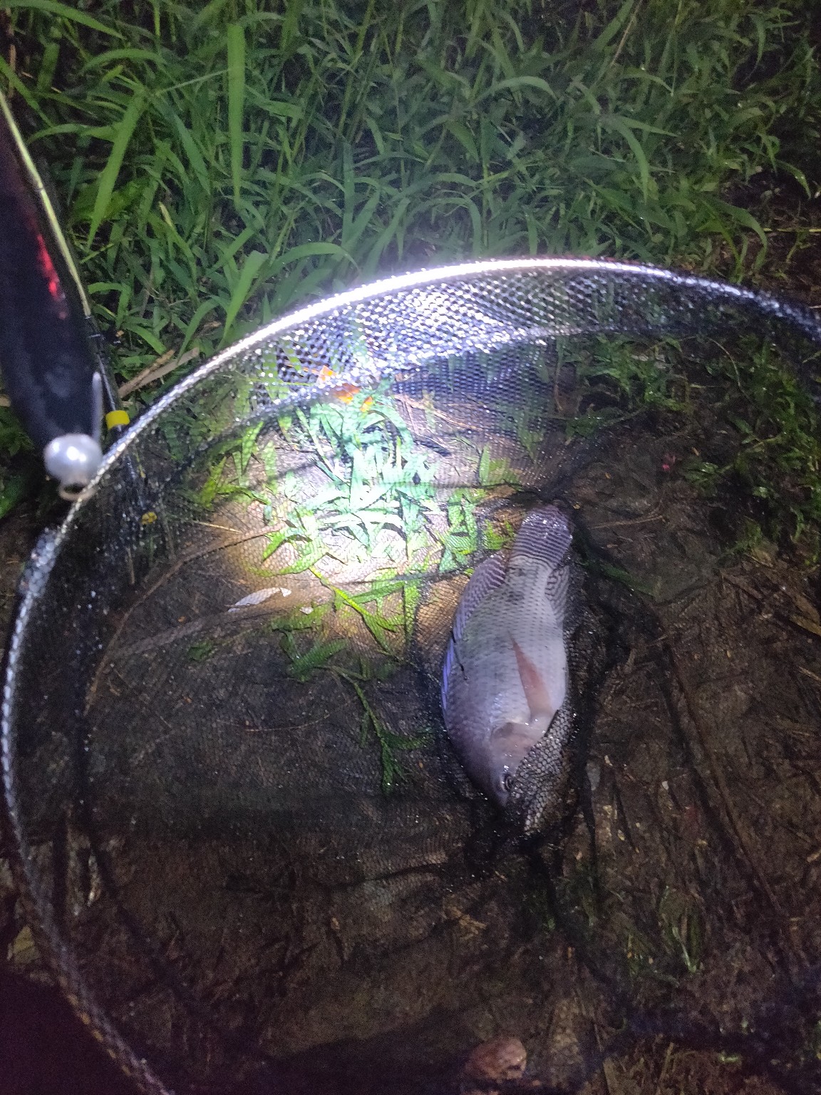 水情不稳定如何钓鱼,水情不明钓鱼必须每次都调漂吗