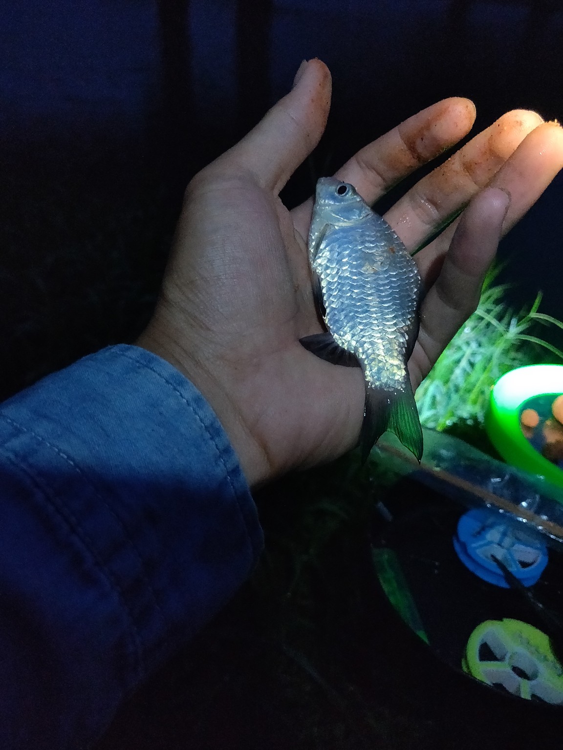 水情不稳定如何钓鱼,水情不明钓鱼必须每次都调漂吗