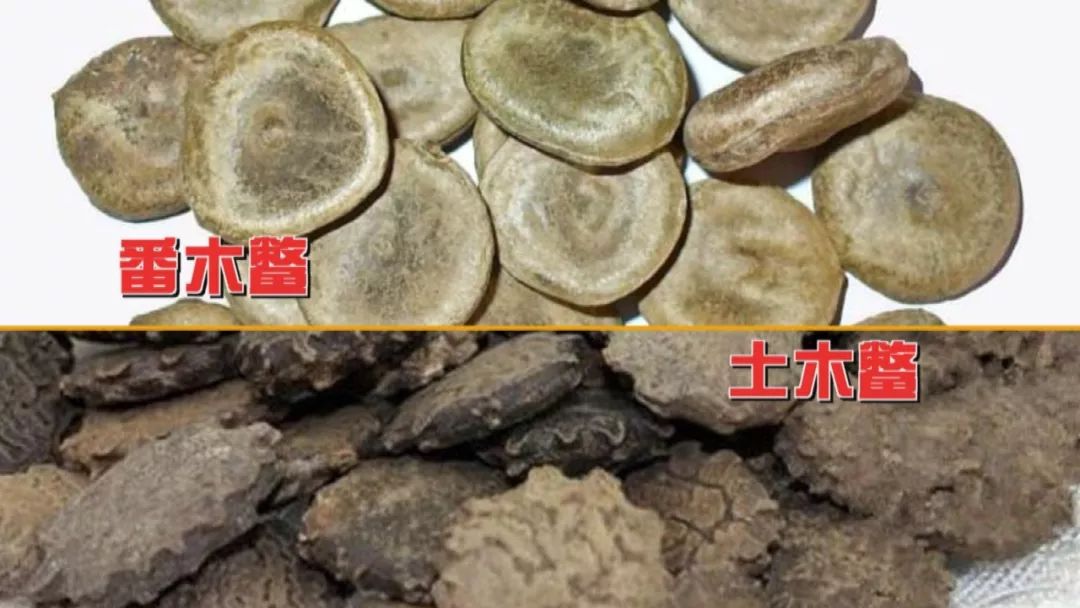 生姜可以治肿瘤养生堂节目,养生堂肿瘤真相大揭秘