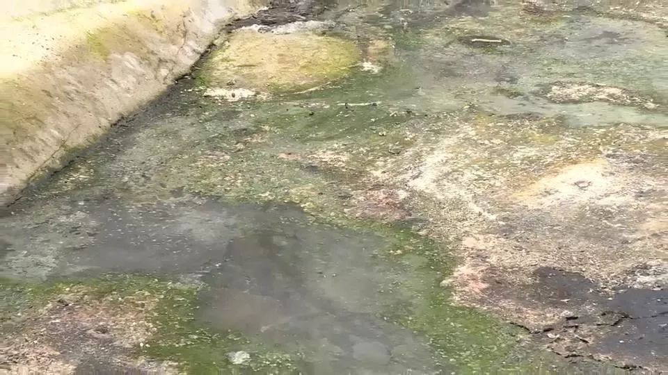 曝光小区乱停车不文明停车行为,东兴乱停车