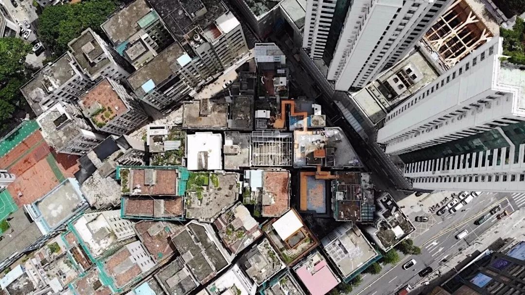 莫干山民宿成功的原因,莫干山民宿是怎么做起来的