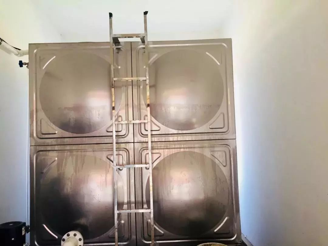 开学啦撒贝宁,开学啦手势舞完整版3分钟