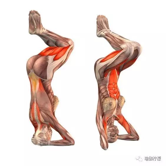 倒立如何稳定,倒立支撑的正确方法