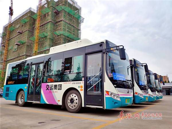 西海岸直达公交,西海岸环海公交