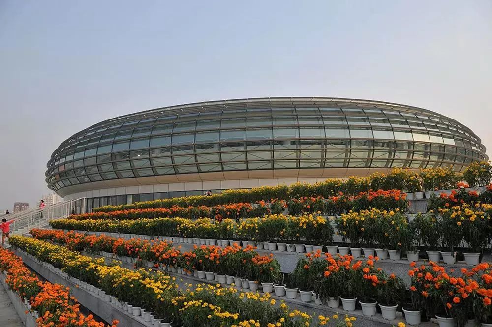 武汉理工新生攻略,武汉理工大学体育馆