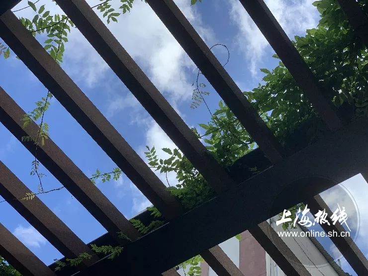 TA藏在静安,可能是市中心最袖珍公园,重温老上海的儿时记忆