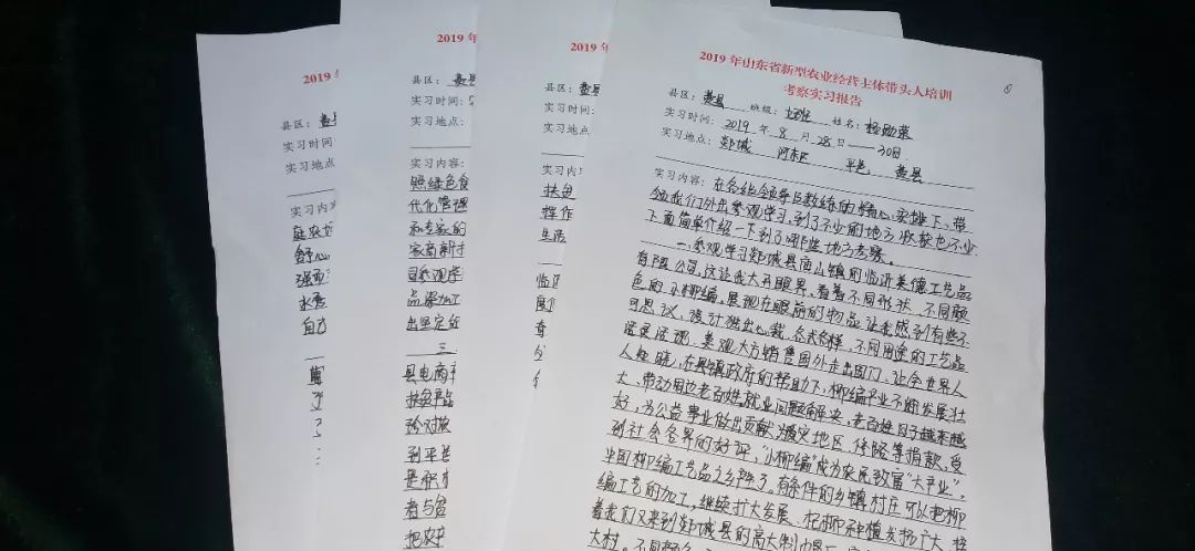 巾帼致富带头人脱贫培训班,乡村振兴巾帼行动女致富带头人