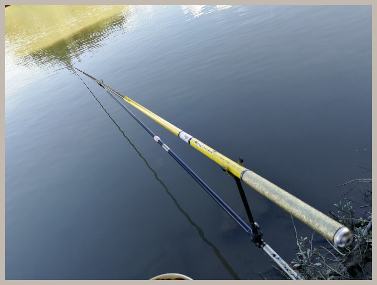 异地最后一次作钓，江鳊鱼获全部送邻居